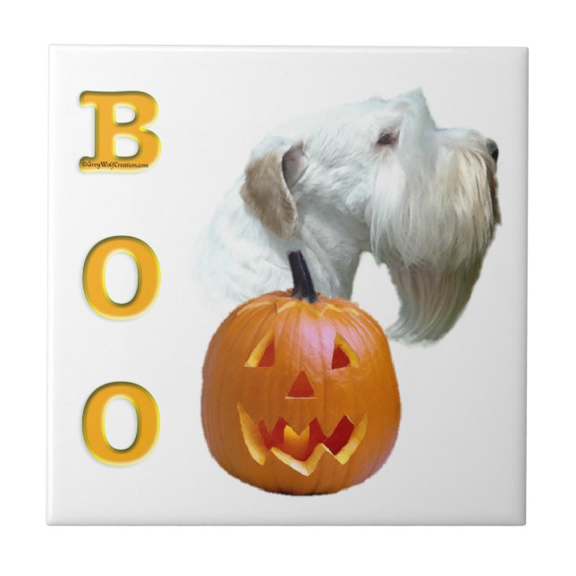 Sealyham Terrier Boo (Frente)