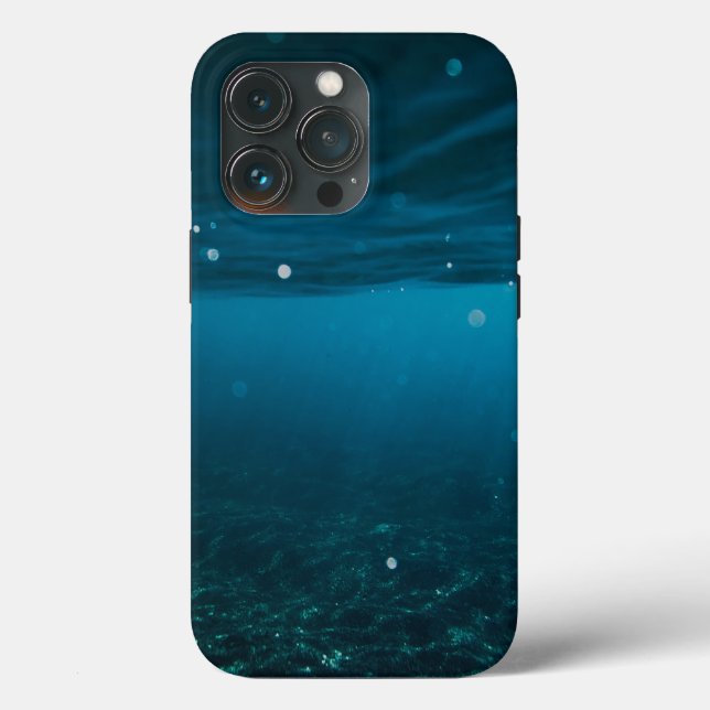  Seascape with Beach, Great Wave & Mount Sea Case (Verso)