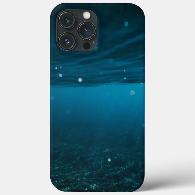  Seascape with Beach, Great Wave & Mount Sea Case (Verso)