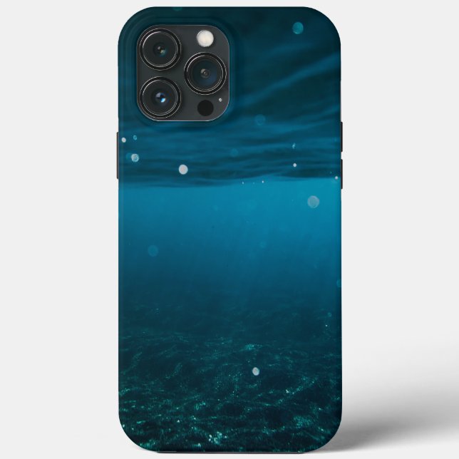  Seascape with Beach, Great Wave & Mount Sea Case (Verso)