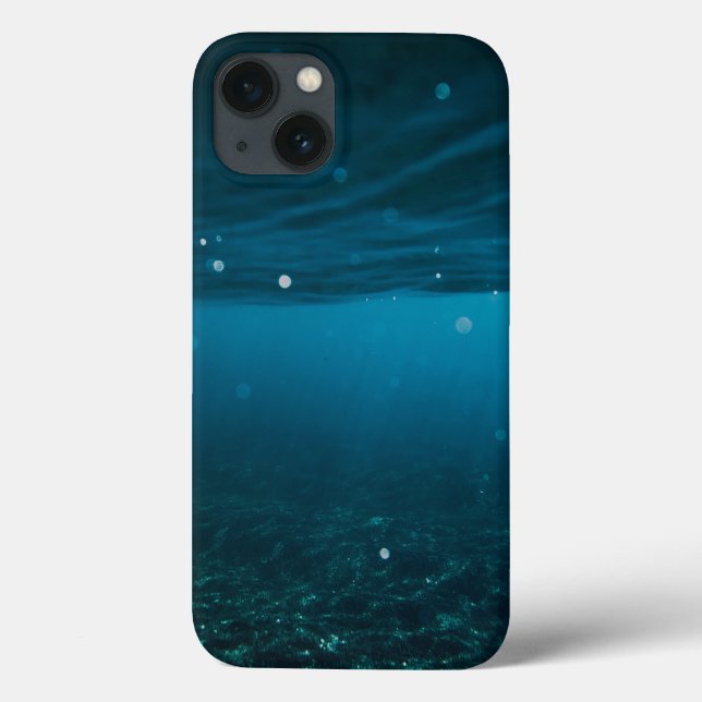  Seascape with Beach, Great Wave & Mount Sea Case (Verso)