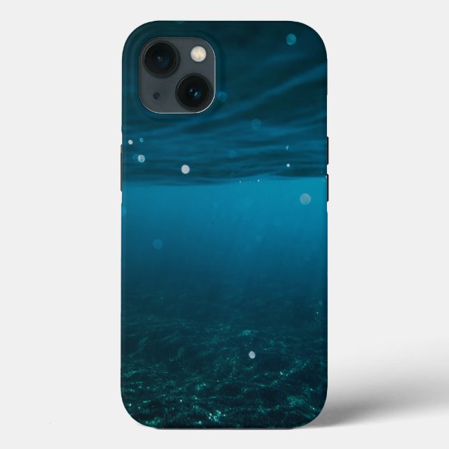  Seascape with Beach, Great Wave & Mount Sea Case (Verso)