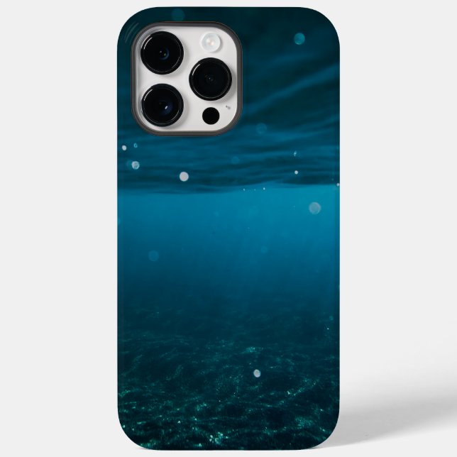  Seascape with Beach, Great Wave & Mount Sea Case (Verso)