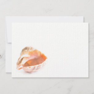Seashell
