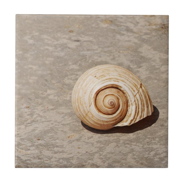 SeaShell (Frente)