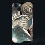 Seashell Anthology<br><div class="desc">This artwork by Vision Studio captures some of the best ocean sea life's. Get this rustic piece of artwork of these different shapes and sizes of Conch shells. This is one unique piece of artwork of these Seashell Anthology pieces.</div>