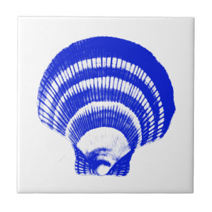 Seashell - azuis cobaltos e branco