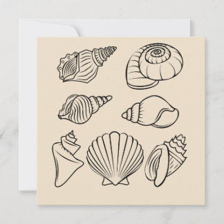 Seashell, Cartão de Nota Plana de Material de Esta