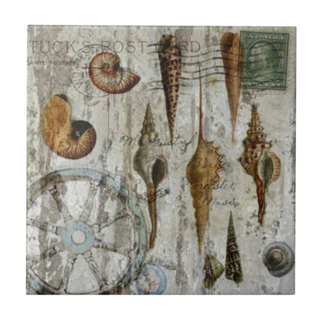 seashell chique litoral whitewashed rústico (Frente)