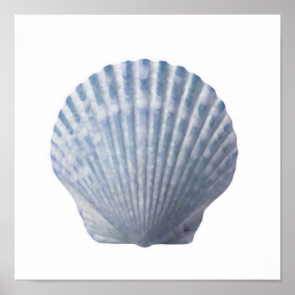 Seashell Impressão