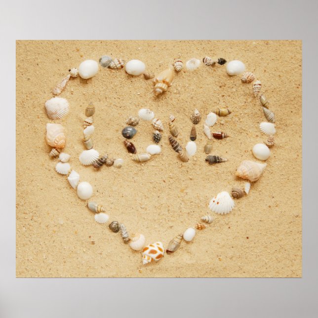 Seashell Love Poster (Frente)