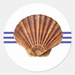 Seashell náutico - etiqueta do círculo
