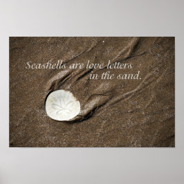 Seashell Poster