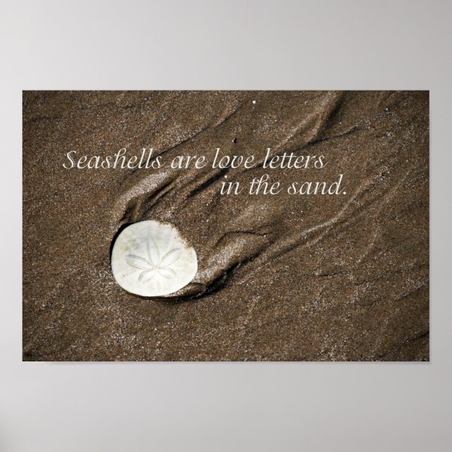 Seashell Poster (Frente)