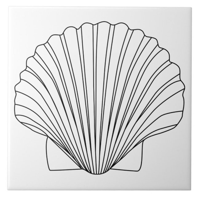 Seashell preto do Scallop dos moluscos (Frente)