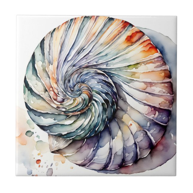 Seashell Shell Nautilus Design 357 Watercolor (Frente)