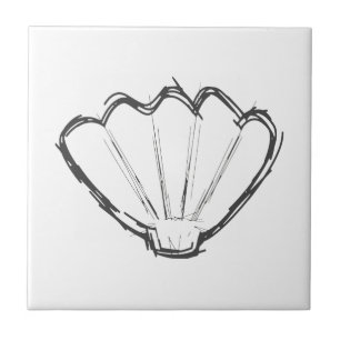Seashell Sketch