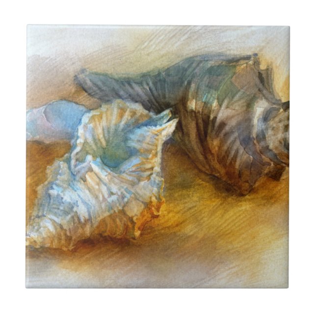 Seashells na praia (Frente)