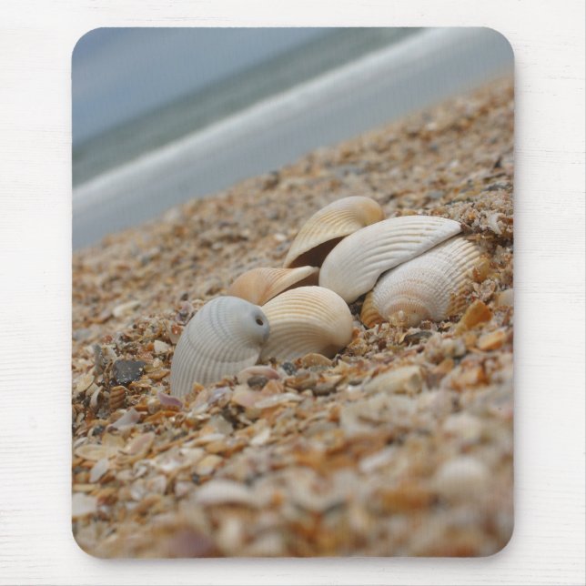 Seashells no disconto de quantidade do mousepad da (Frente)