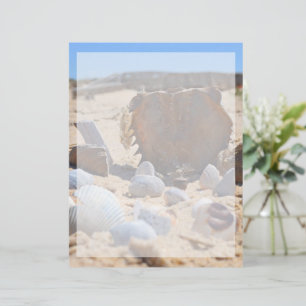 Seashells on Beach por Shirley Taylor