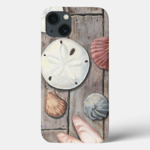 Seashore Treasures