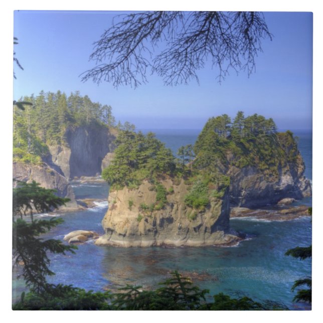 Seastacks, Terras Tribais Makah Nation, Cabo (Frente)