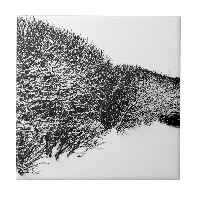 sebe de inverno (Frente)