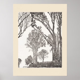 Sebes da Cornualha Eleanor Hughes ReStrike Poster