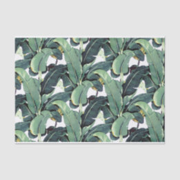 Seda A banana sae palma do lenço de papel 10lb tropical