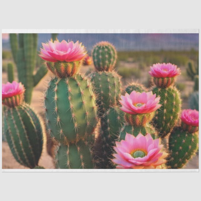 Seda Arizona de papel de dissociação de cactus rosa e v (Frente )