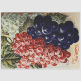 Seda Artigo Nouveau Poster 25 Papel Tecido de Decoupage