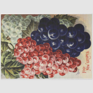 Seda Artigo Nouveau Poster 25 Papel Tecido de Decoupage