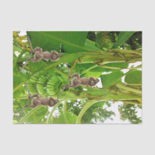 Seda Árvore Banana De Macaco De Papel Tecido