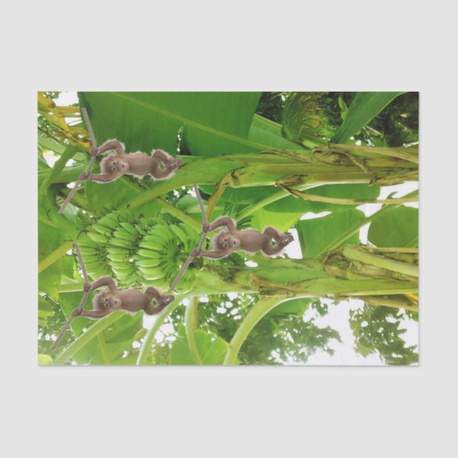 Seda Árvore de Banana do Macaco de Papel Tecido (Frente )