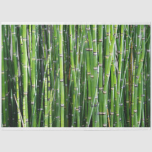 Seda Bambu Decoupage 24 Papel Tecido de Fundo
