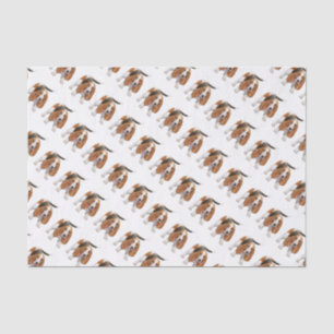 Seda Basset Hound com lenço de papel do bastão de doc