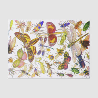 Seda Biologia do lenço de papel | do inseto dos insetos