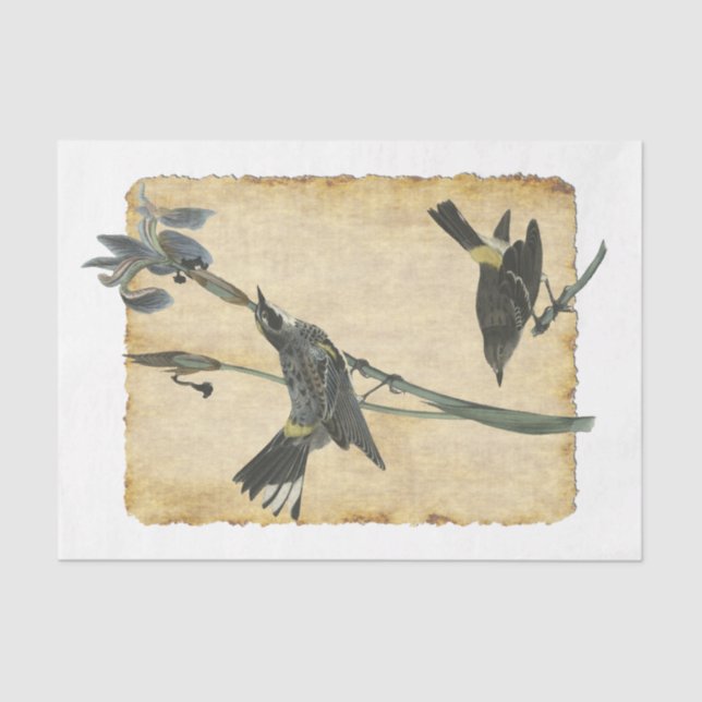 Seda Bird 32 Papel Tecido de Decoupage (Frente )