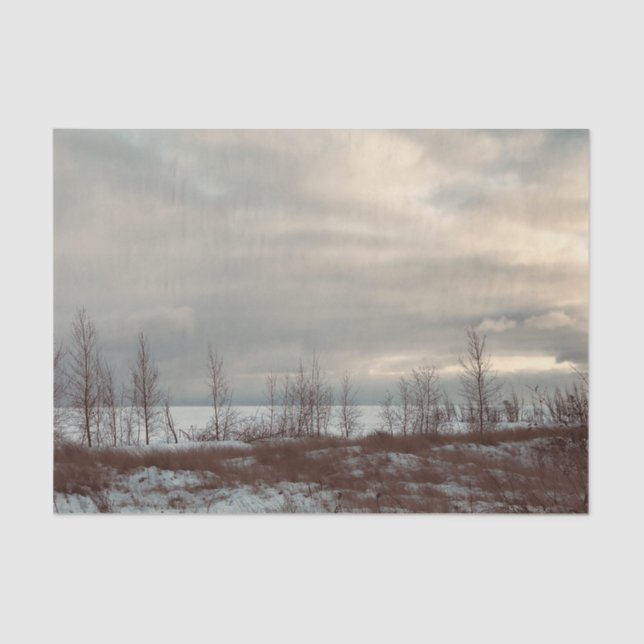 Seda Cada paisagem de Ocasião Dar Papel de Tecido de Qu (Frente )