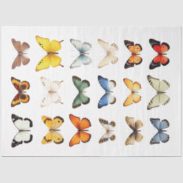 Seda Caleidoscópio de borboletas 1 Papel de dissociação
