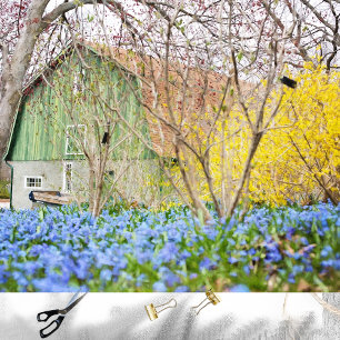 Seda Cana de outono com Papel de Tecido de Campo Azul