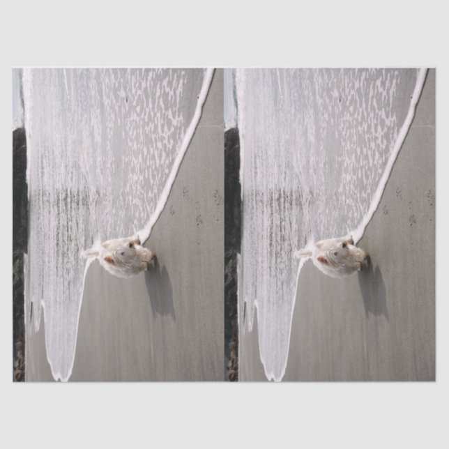 Seda Captura de Papel de Tecido Fotográfico Westie (Frente )