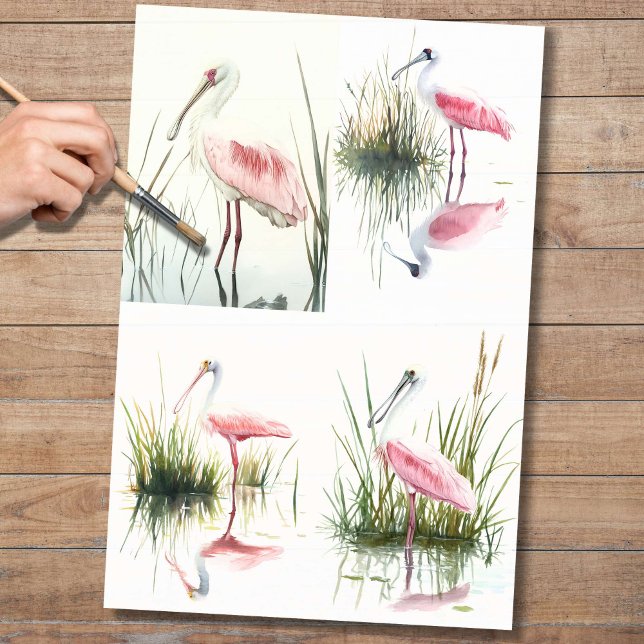 Seda Colagem de Spoonbill 2 Papel de Decoupage (Criador carregado)