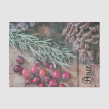 Conjunto de Papel Tecido (2) Paz na Terra