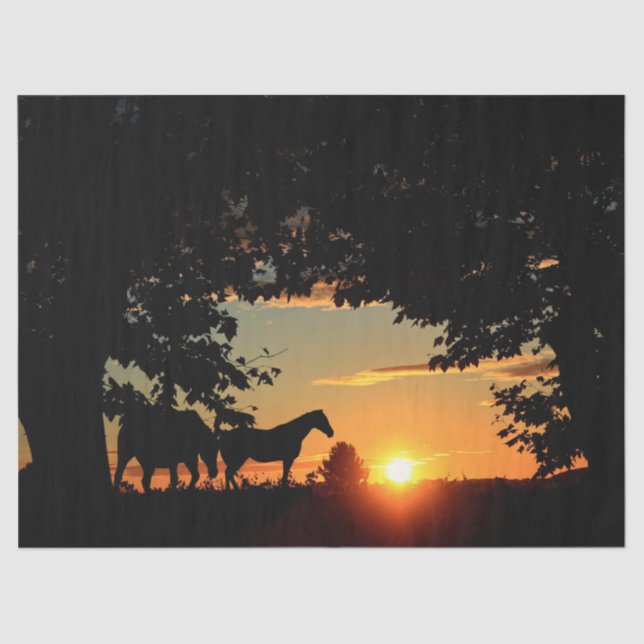 Seda Coros Papel Tecido de Decoupage de Separação Sunse (Frente )