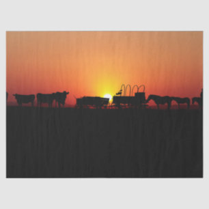 Seda Cowboy Ocidental — Sunset 12 Papel Tecido de Decou