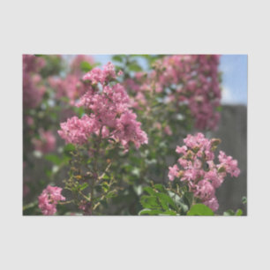 Seda Crepe Myrtle, papel de tecidos florescente