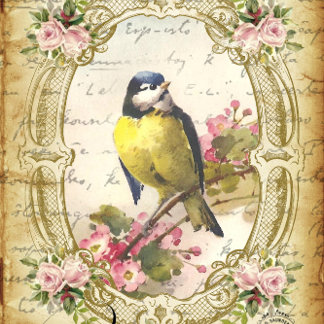Seda Decoupage de Papel Antiquado de Pássaro Azul e Flo