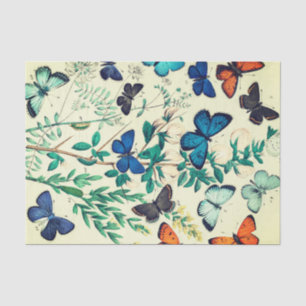 Seda Design da borboleta do vintage do lenço de papel