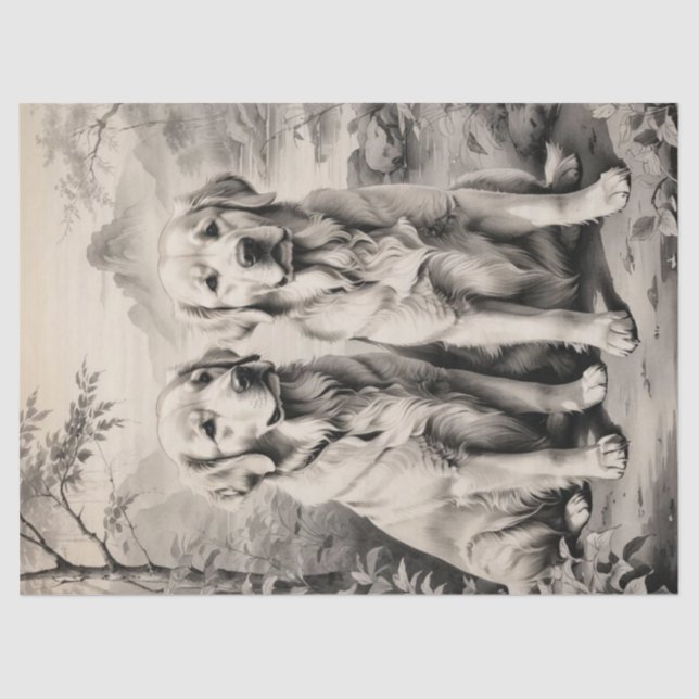 Seda Dois Ouros - Cães de Retriever - Papel de Tecido R (Frente )